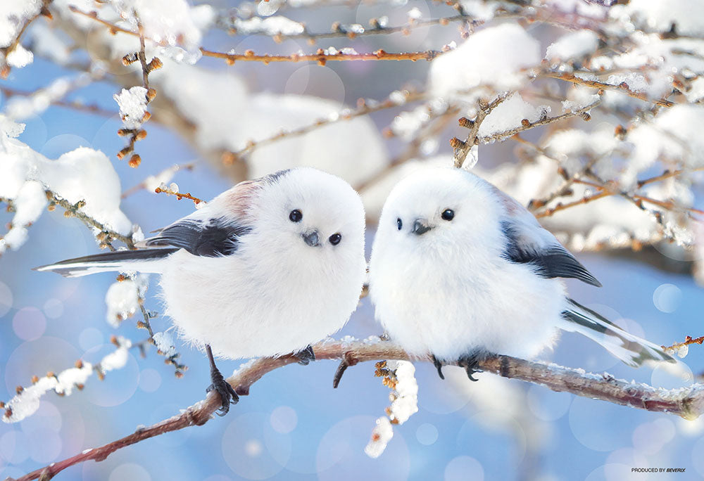 ふんわりシマエナガ