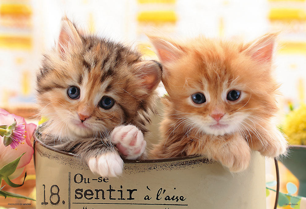 しあわせにゃんこ