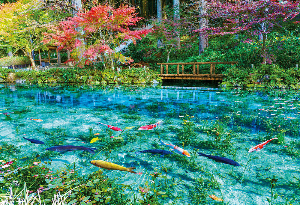 色彩輝くモネの池 – BEVERLY