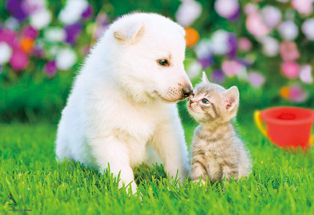 大好きの気持ち