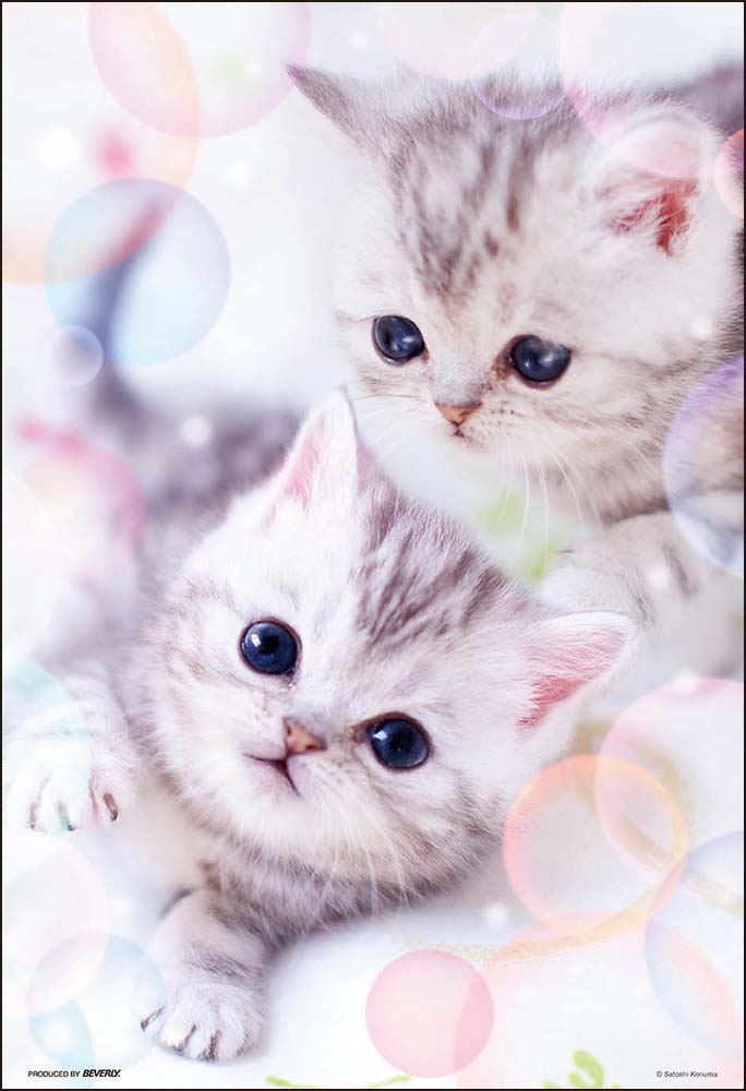 ふんわりにゃん