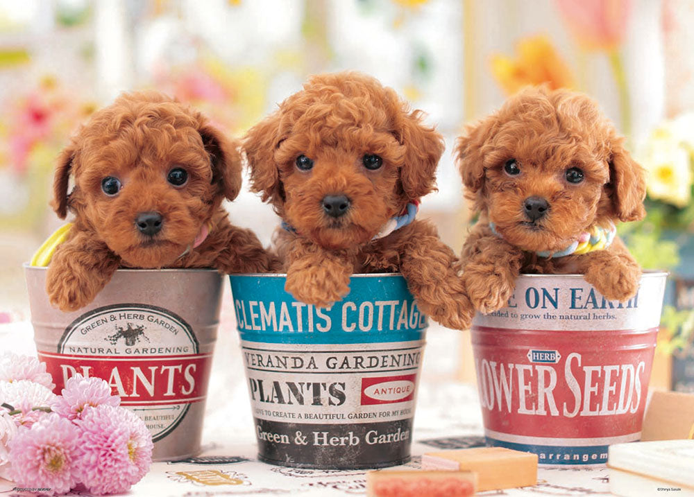 こいぬの気持ち