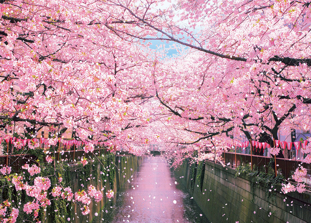 目黒川の桜並木 – BEVERLY