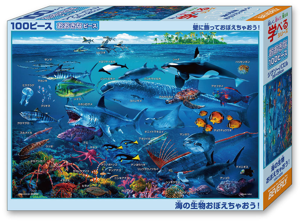 海の生物おぼえちゃおう!
