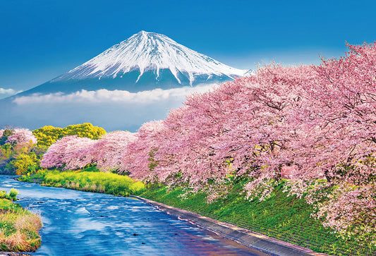 富士と潤井川の桜並木