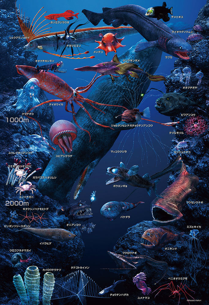 深海の生物おぼえちゃおう!