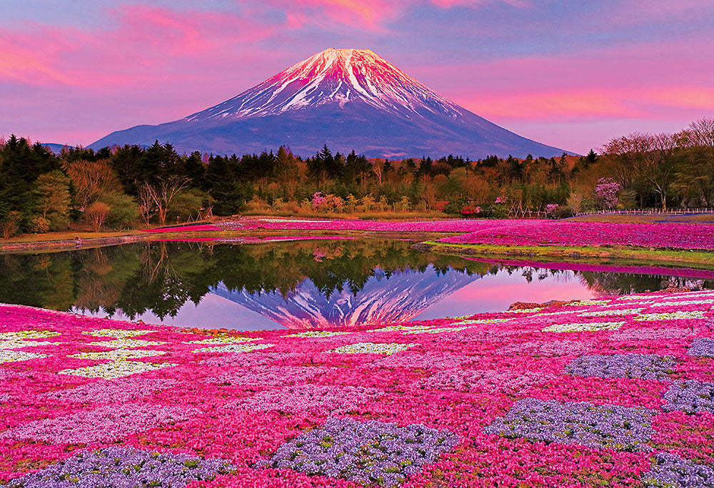 夕陽に染まる富士