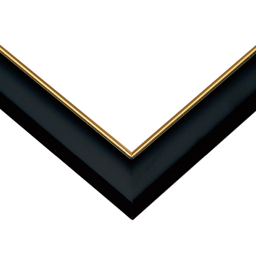 ゴールドモールパネル 73.5×51cm クロ