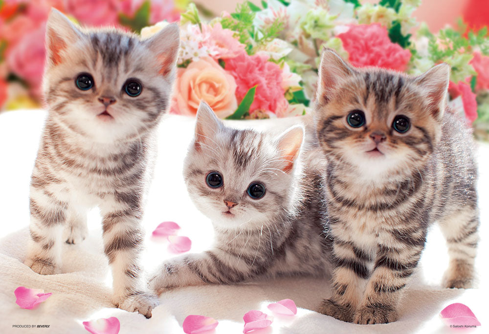 あそんでにゃ♡