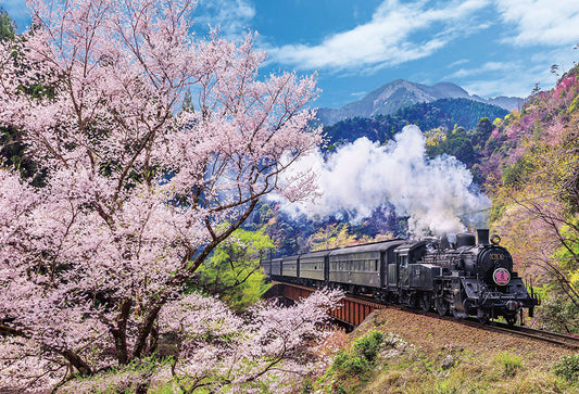 大井川鐵道と桜