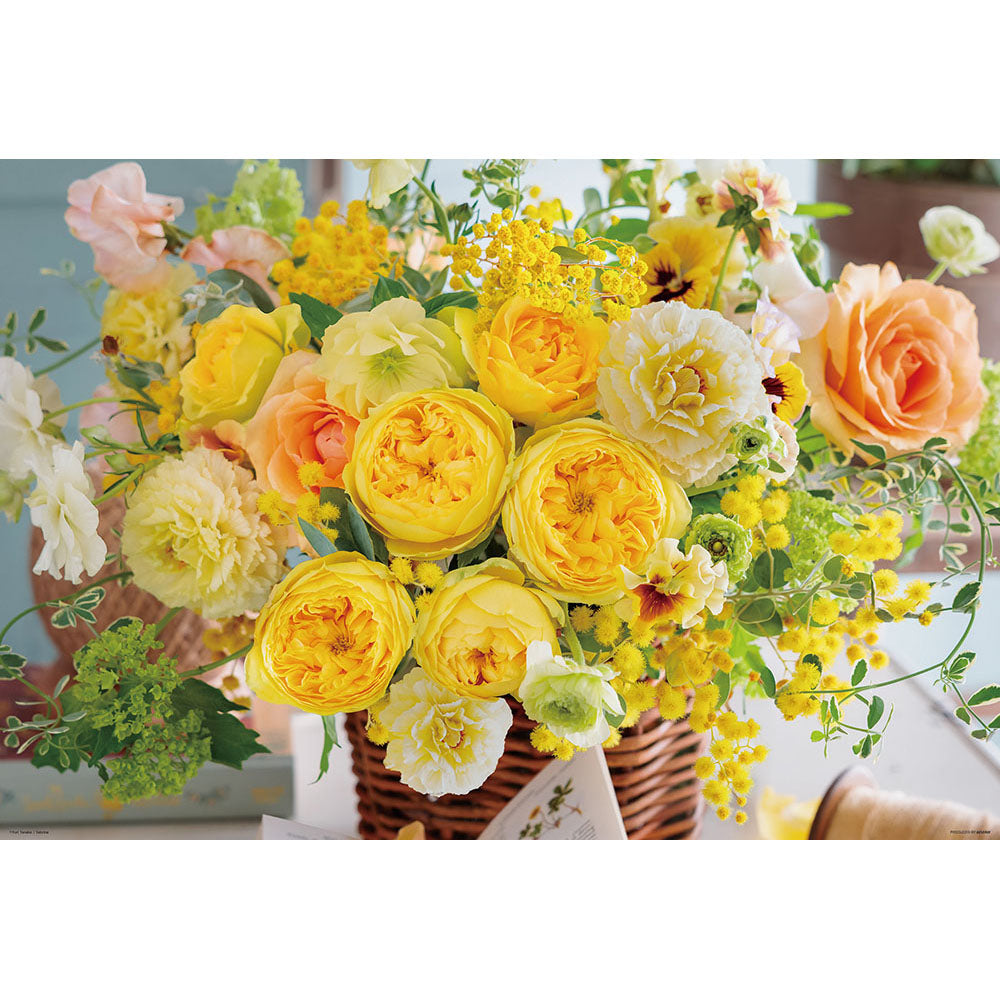 幸運のビバーチェ