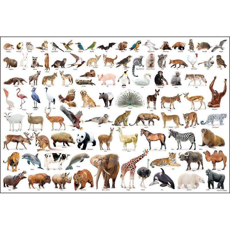 Animal Collection