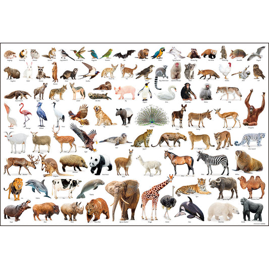 Animal Collection