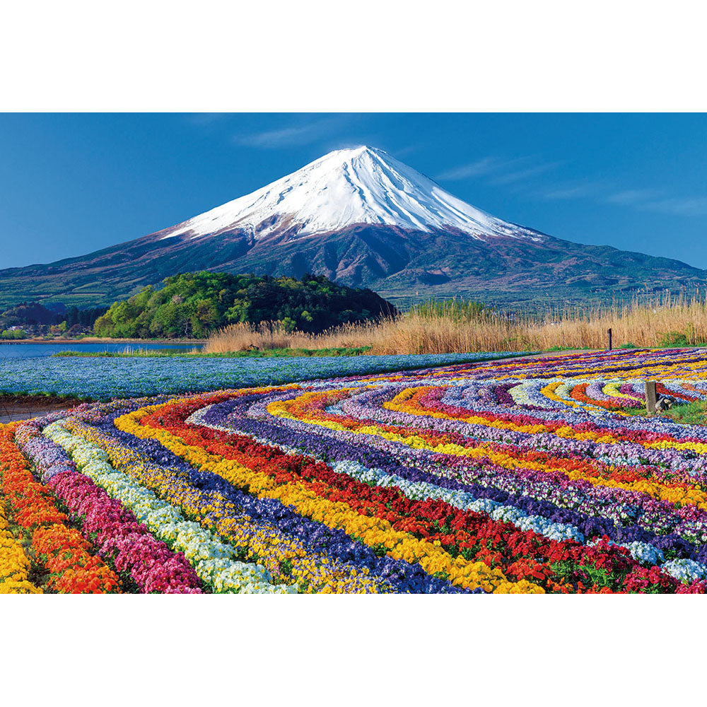 富士を望む花色絨毯