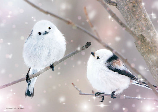 春はまだかな? シマエナガ