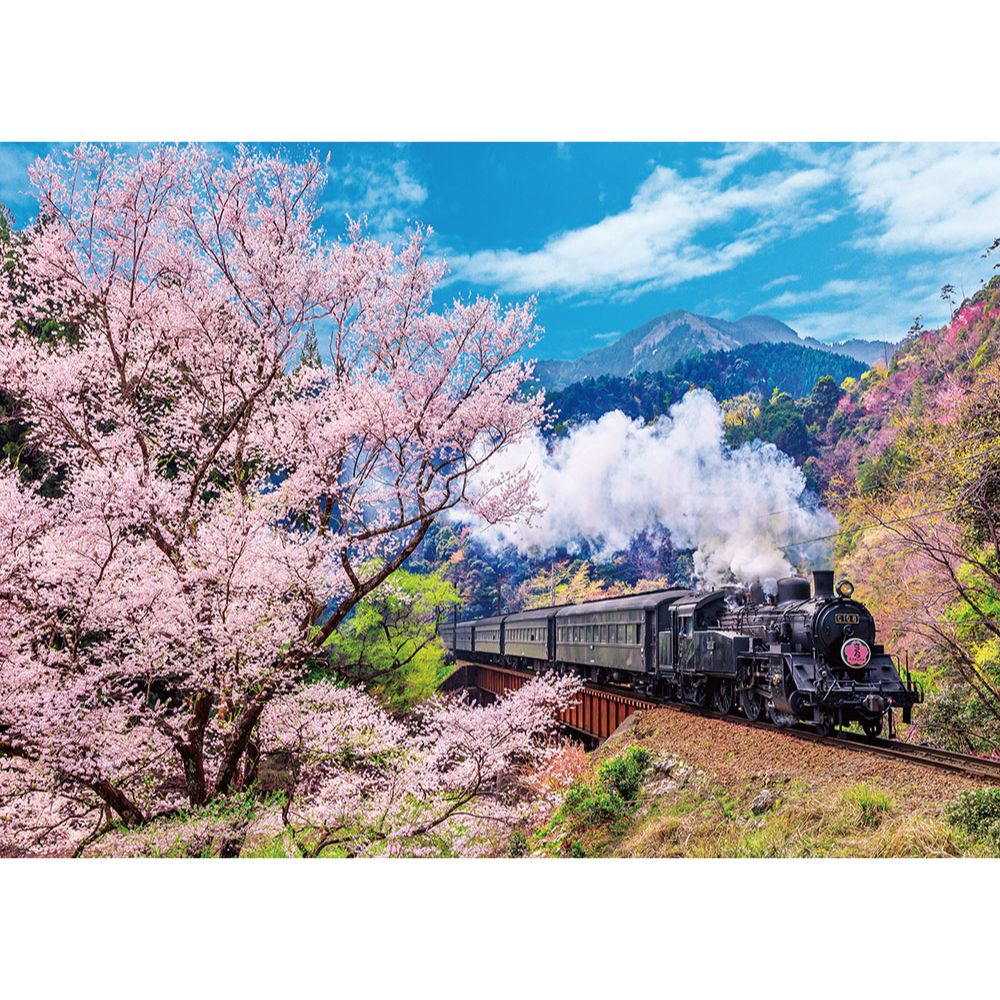 大井川鐵道と桜