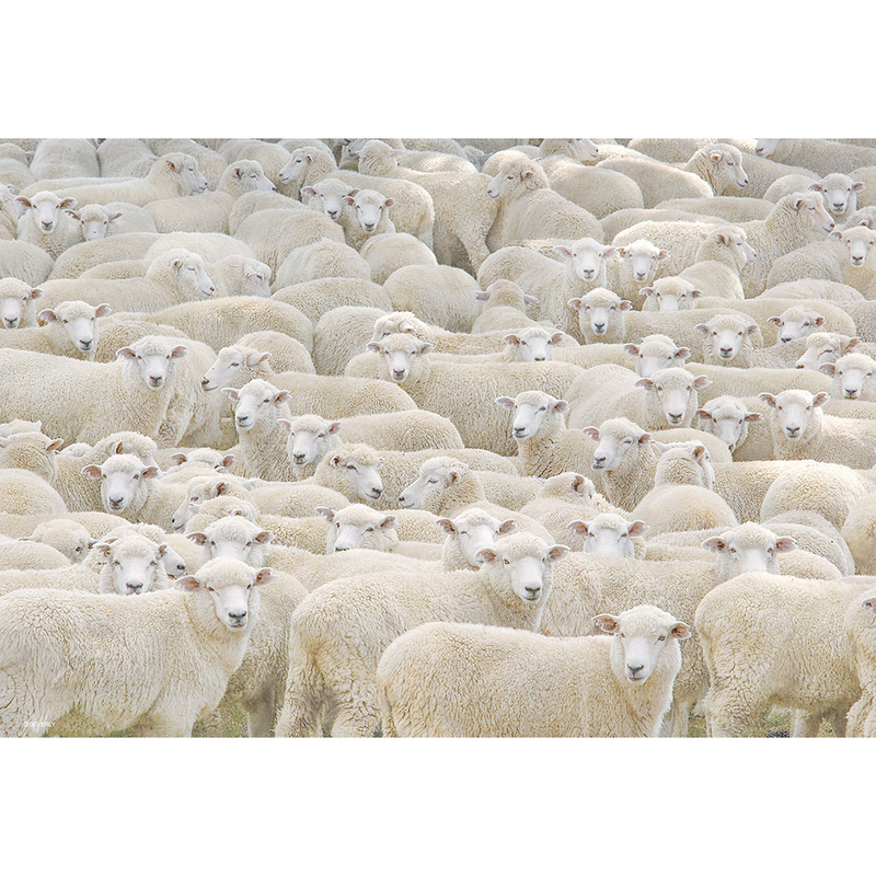 眠くなるパズル