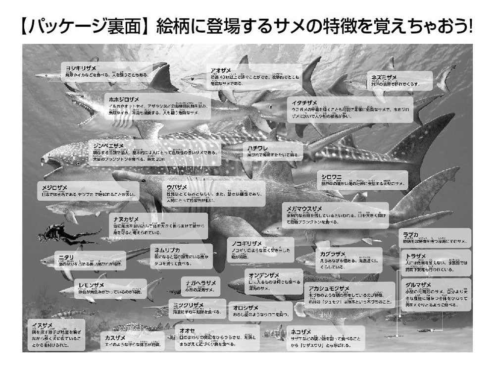 世界のサメ大きさ比べ