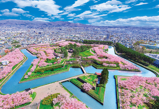 桜彩る五稜郭