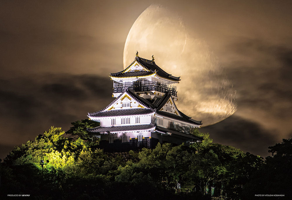 月夜の岐阜城