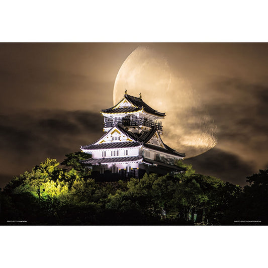 月夜の岐阜城