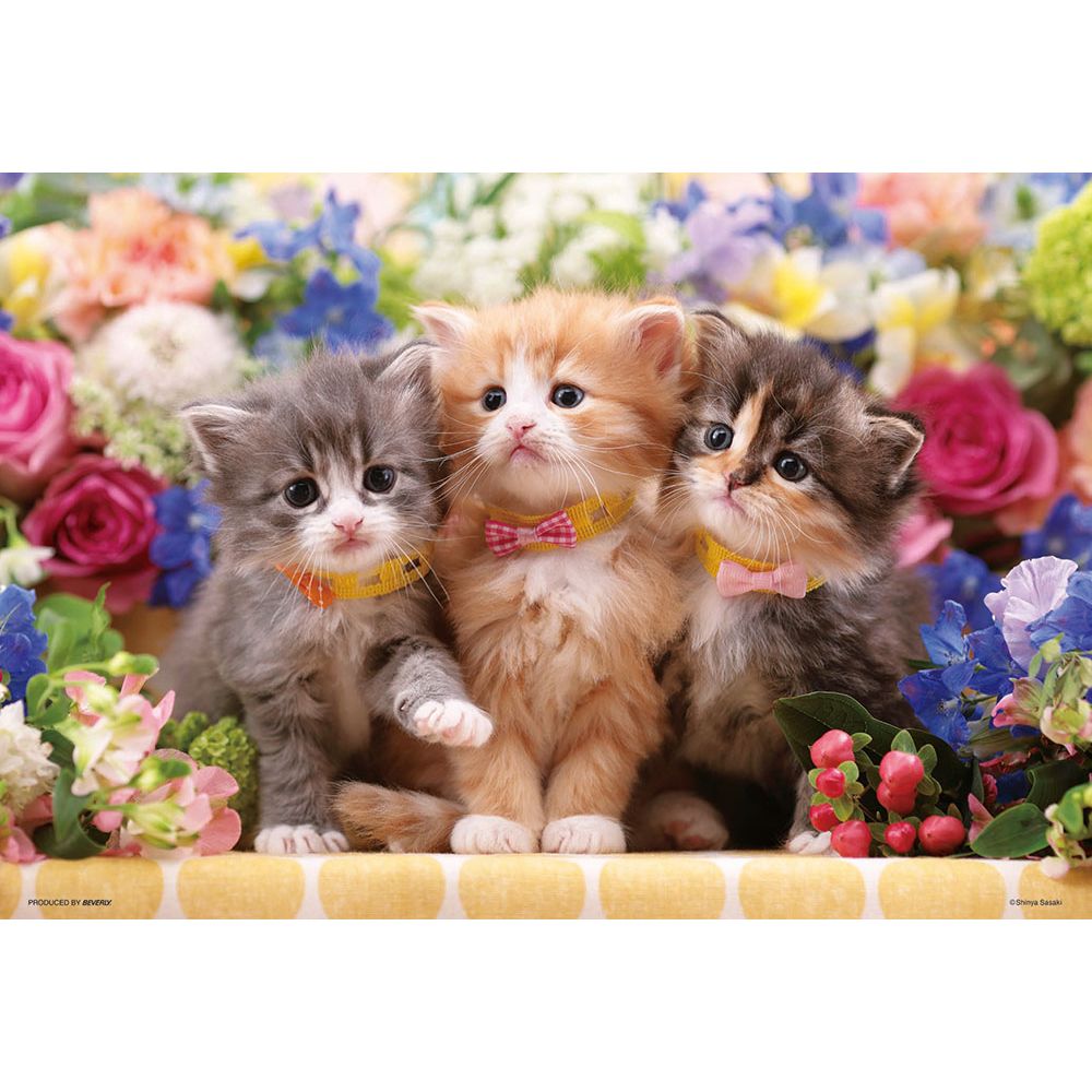 仔猫たちの花時間