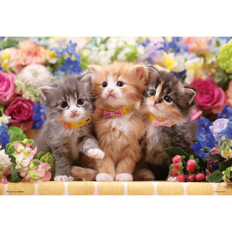 仔猫たちの花時間