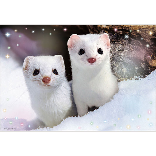 ひょっこりエゾオコジョ