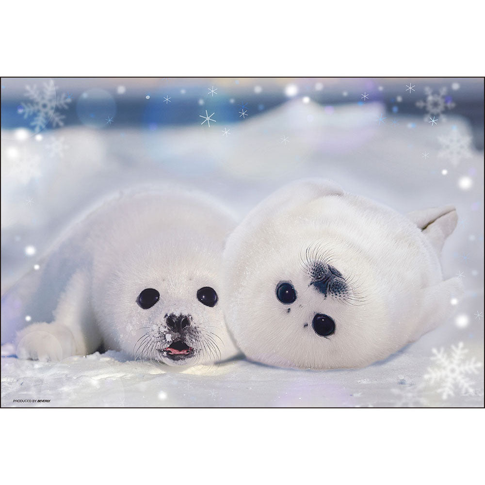 アザラシの幼稚園