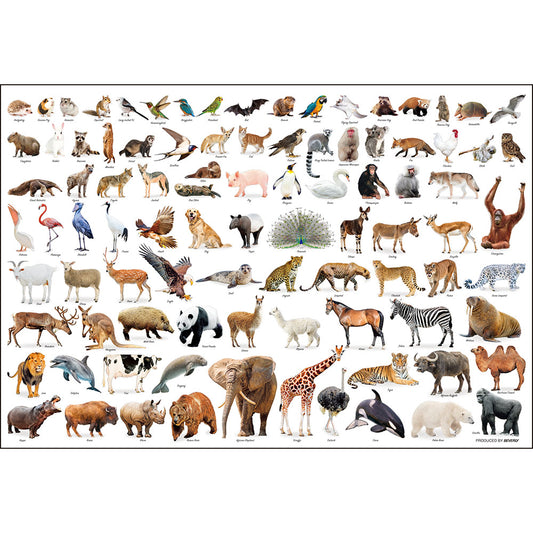 Animal Collection