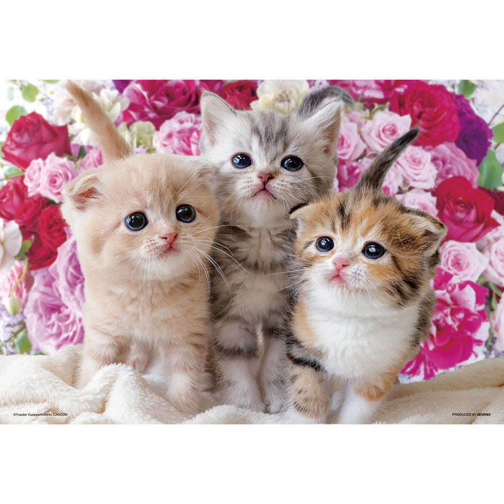 幸せを運ぶ3匹のねこ