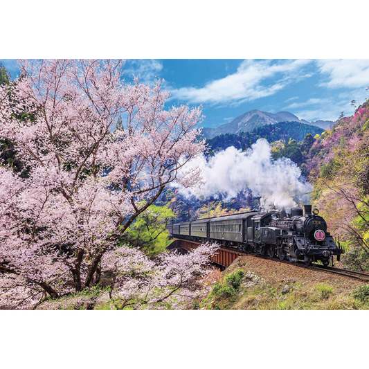 大井川鐵道と桜