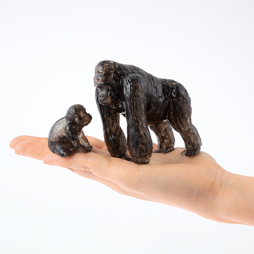 ゴリラ – BEVERLY