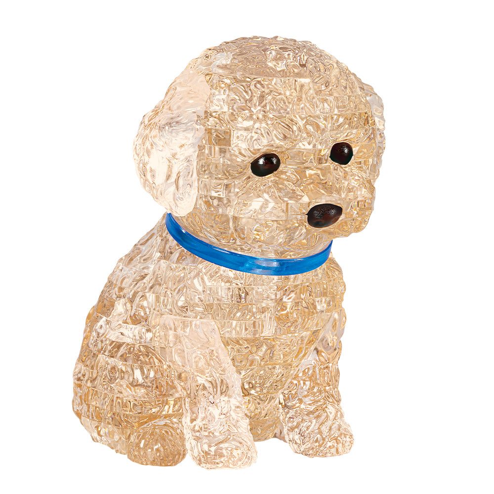 トイプードル・アプリコット – BEVERLY