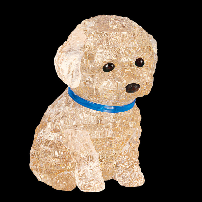 トイプードル・アプリコット