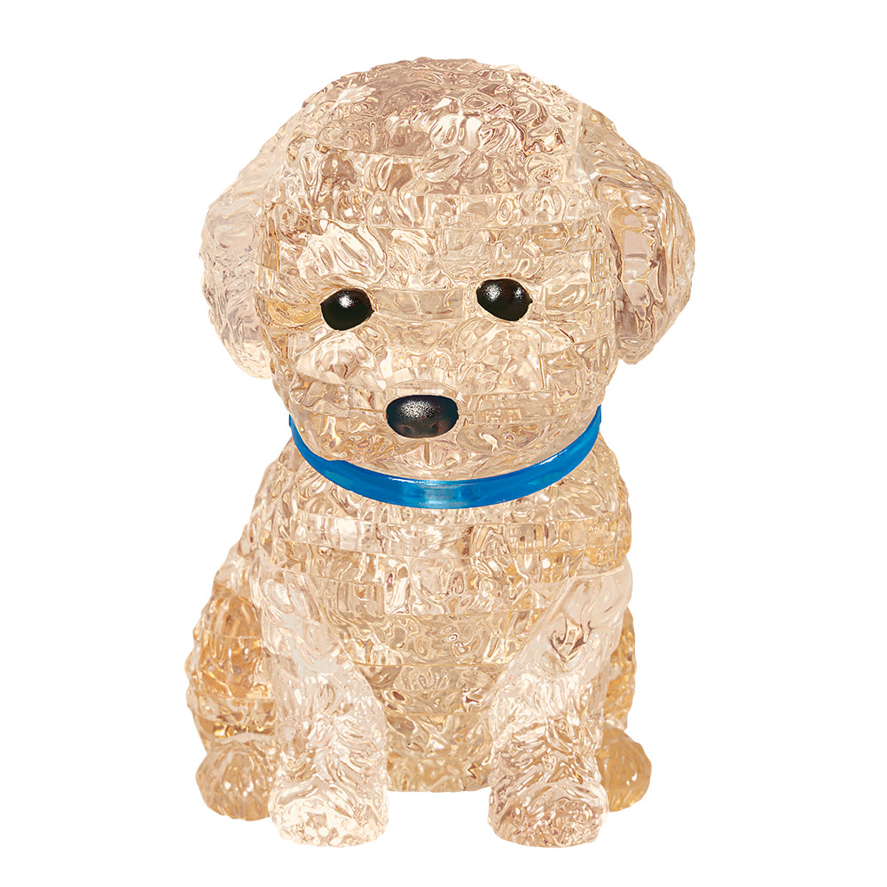 トイプードル・アプリコット