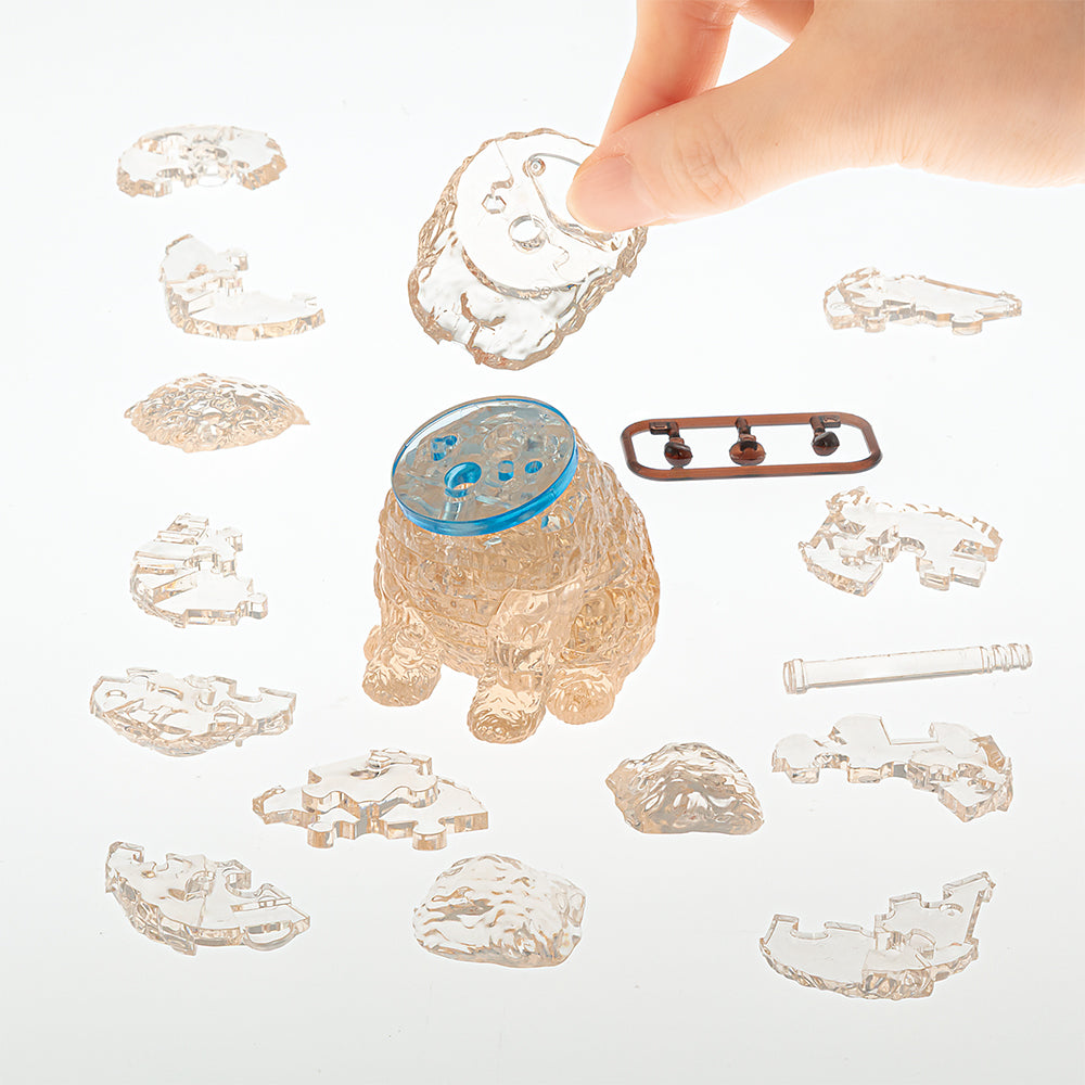 トイプードル・アプリコット