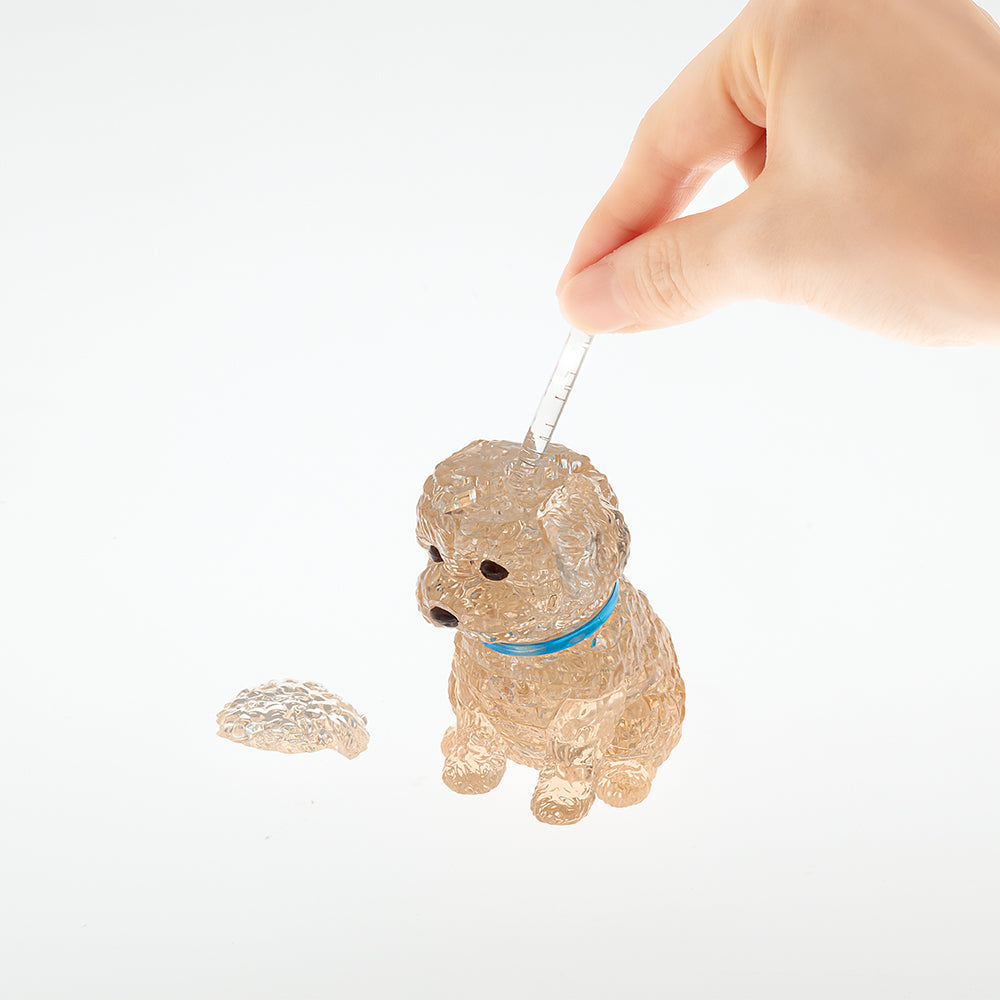 送料込み。トイプードルアプリコットちゃん。立ちポーズ。 トイプードル・アプリコット – BEVERLY