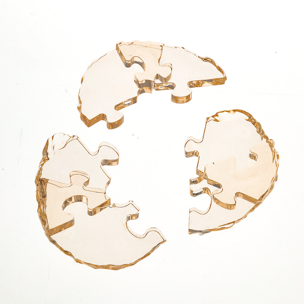 トイプードル・アプリコット