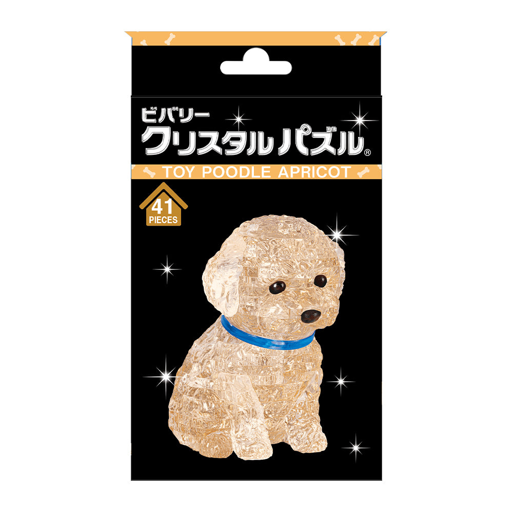 トイプードル・アプリコット