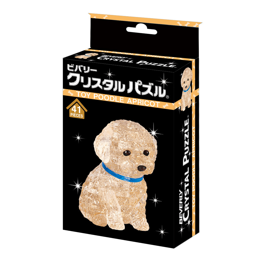 トイプードル・アプリコット