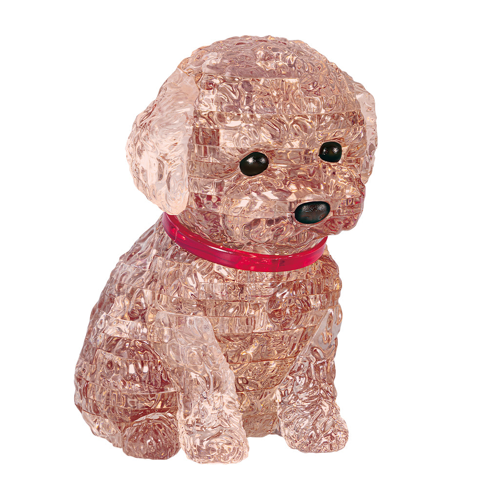 トイプードル・レッド