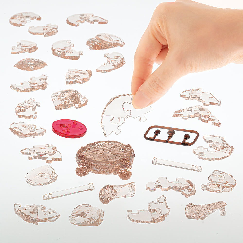 トイプードル・レッド