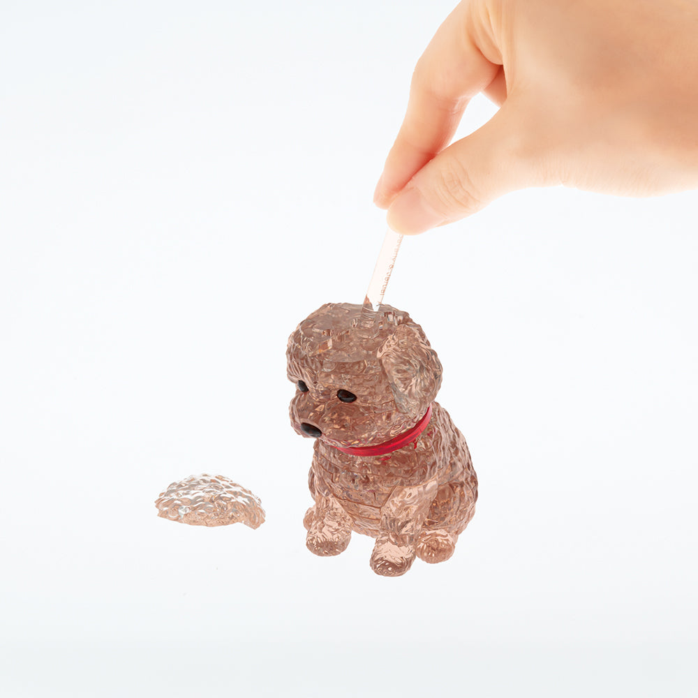 トイプードル・レッド