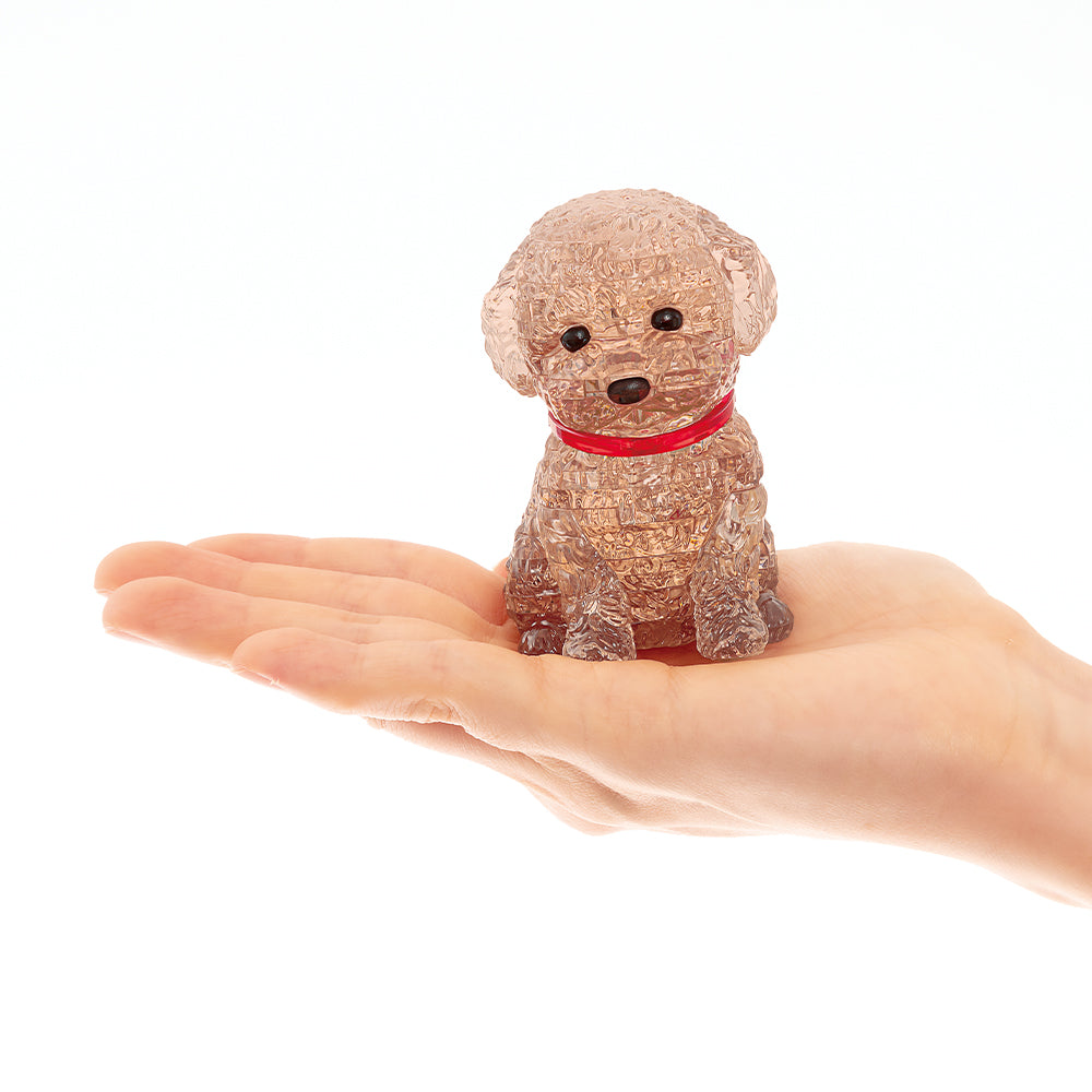 トイプードル・レッド – BEVERLY