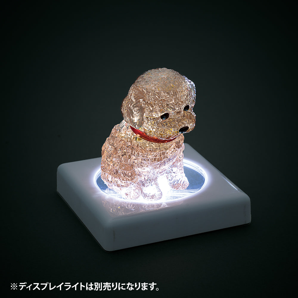 トイプードル・レッド