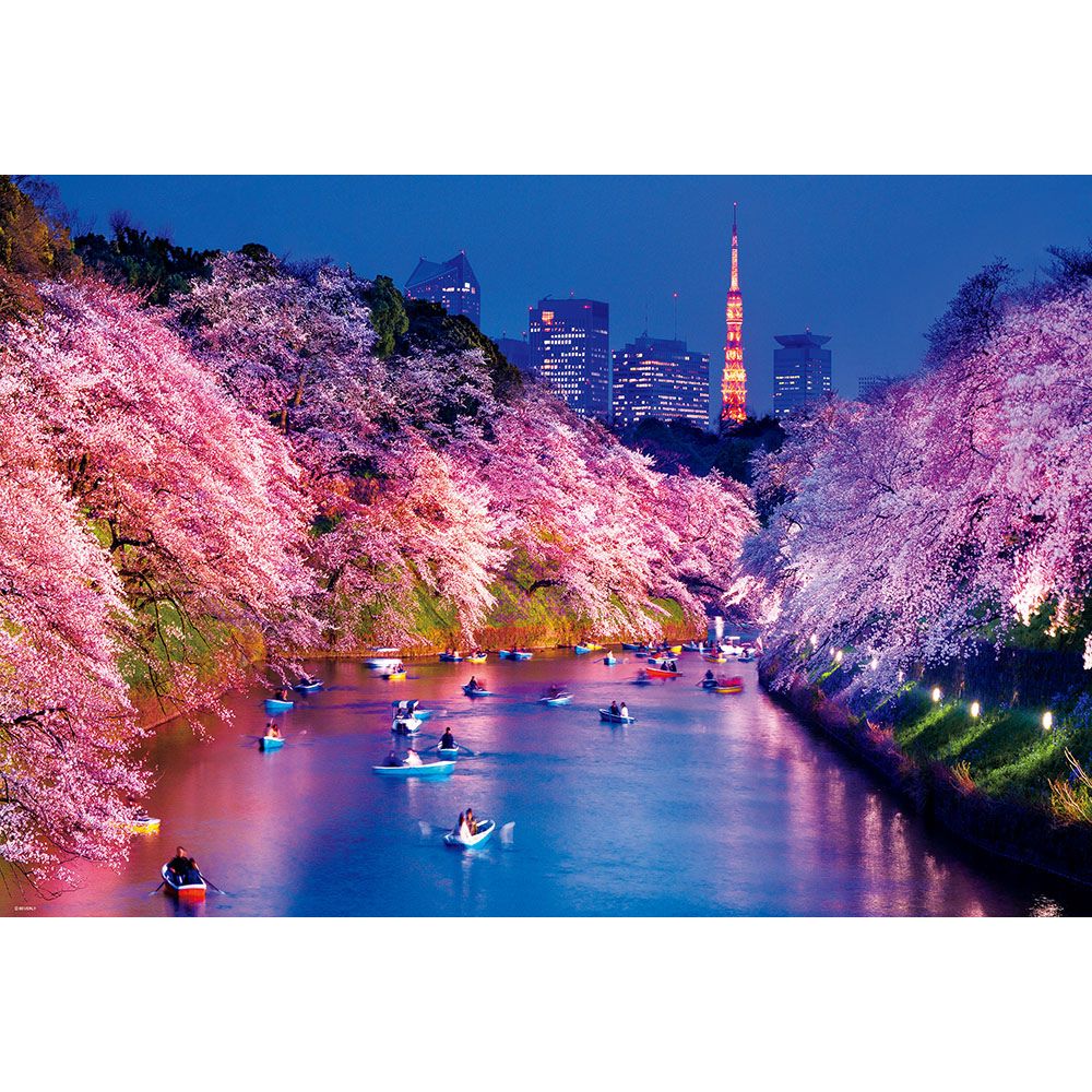 千鳥ヶ淵の夜桜