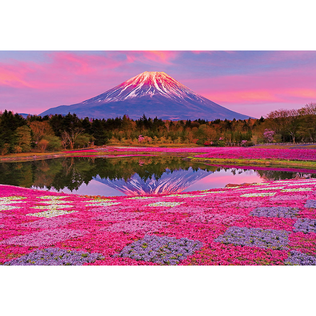 夕陽に染まる富士