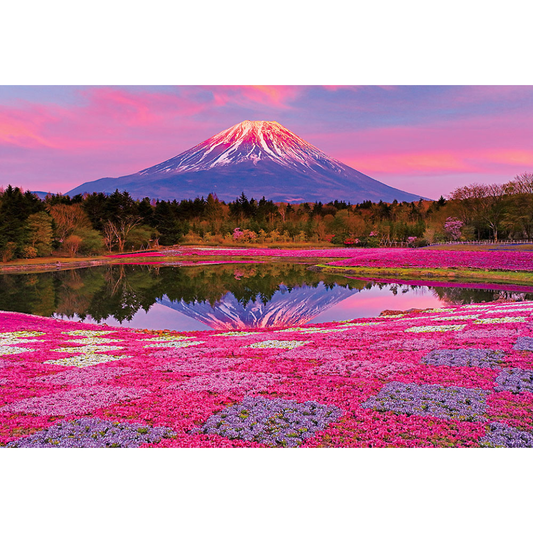 夕陽に染まる富士