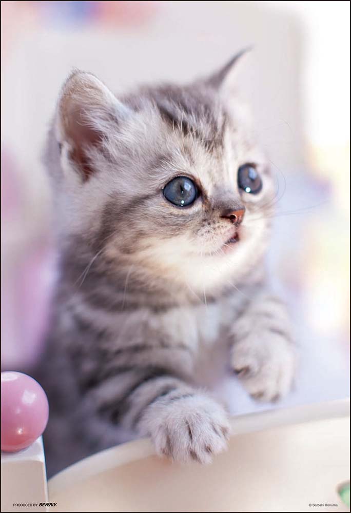 おはよ♪